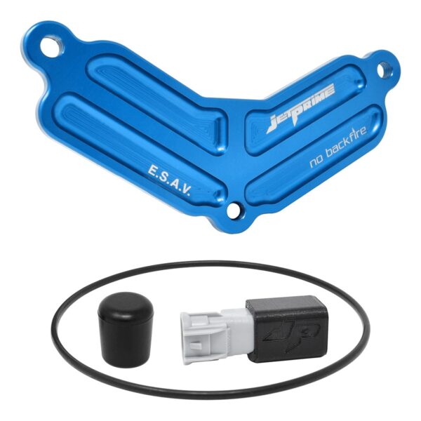PAIR system elimination kit for Aprilia TUONO/TUAREG/RS 660