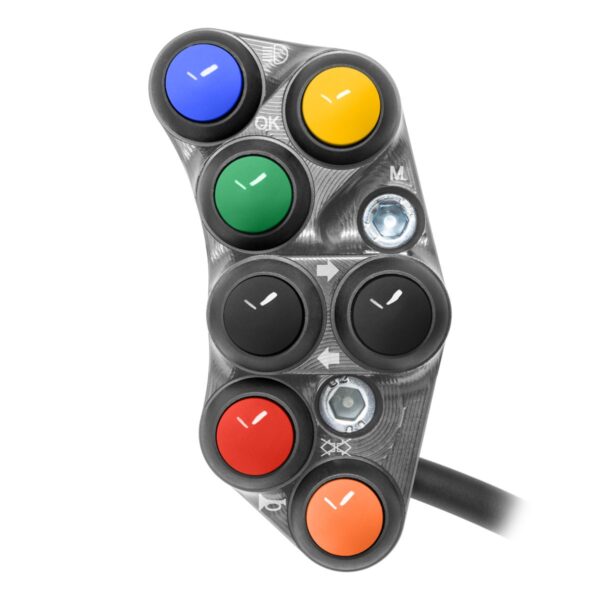 Left Street Handlebar Switch for Triumph Street Triple 765 R (Titanium)